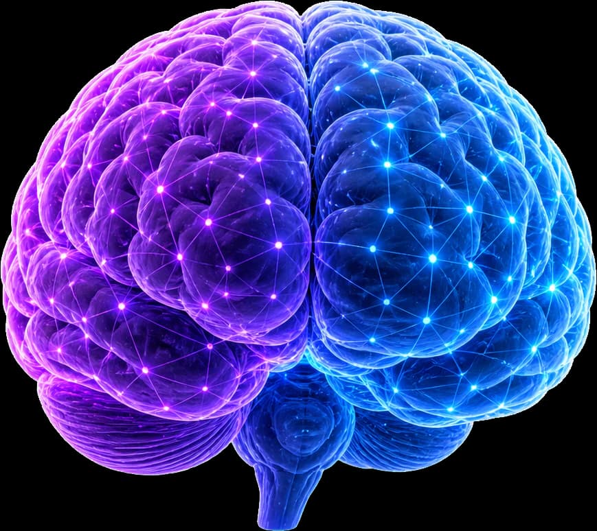 SuperCerveau NDSA, intelligence d’orientation santé