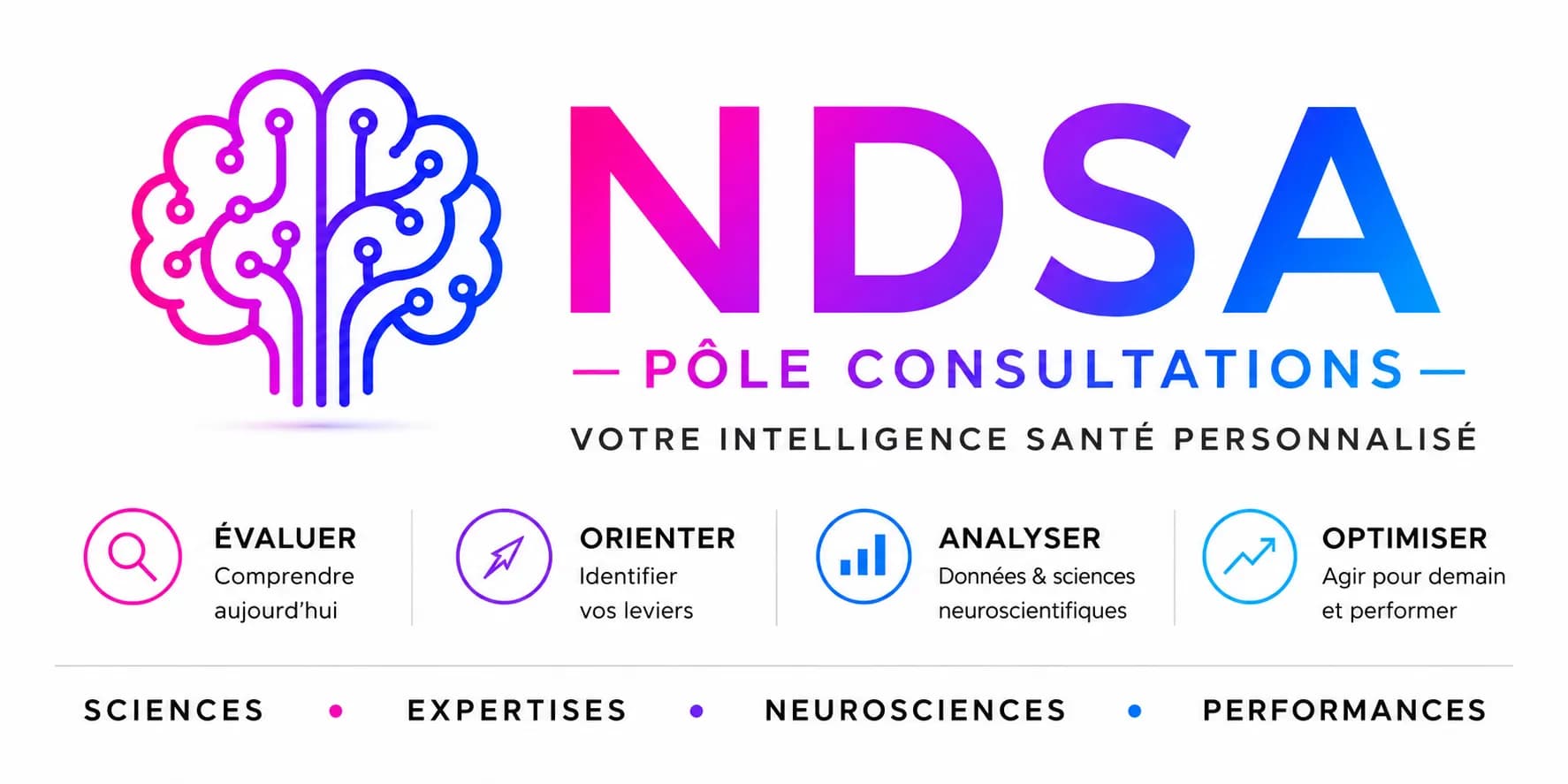 NDSA — Pôle Consultations